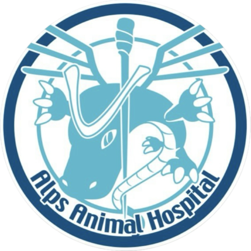 【山梨県南アルプス市　アルプス動物病院】動物看護師募集