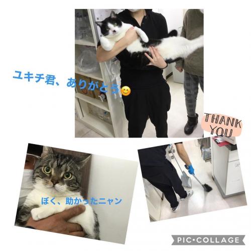 福井県　動物看護師募集　【パート】週1日～