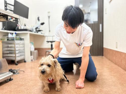 【トレーナー】※中途採用　ひたち滑川丘動物病院