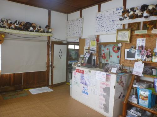 動物看護士：　アルバイト募集　未経験OK。　実習生も歓迎。