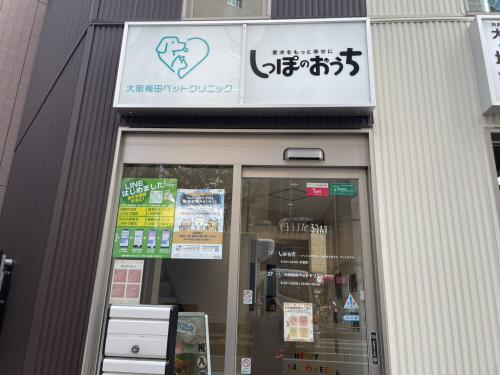 【週休3日×高収入】令和6年オープンの新病院で働く獣医師募集