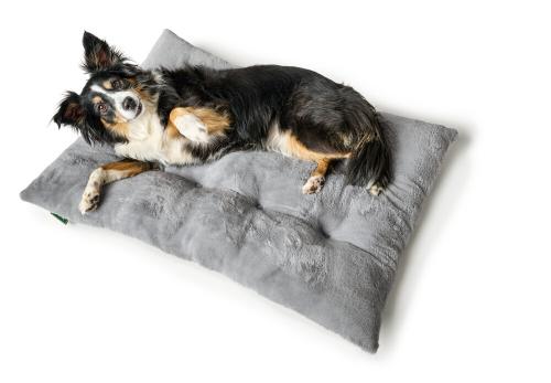 週3日／犬猫用品専門／ペットフード／生体販売なし／接客／販売