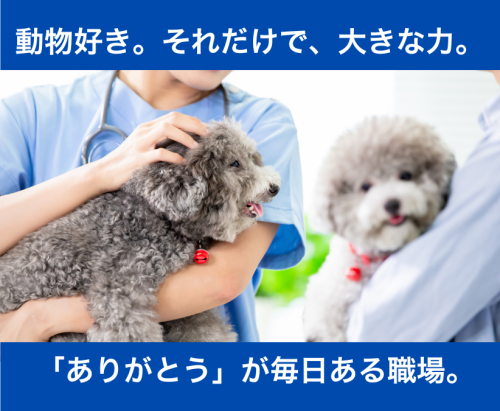 【愛知・弥富】動物病院でのパート受付スタッフ｜週3日～OK