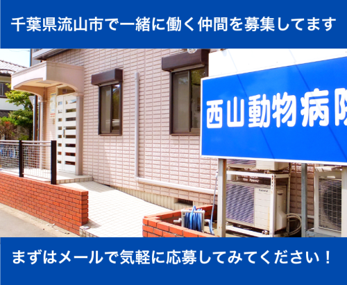【動物病院受付】流山市｜動物好き・未経験歓迎