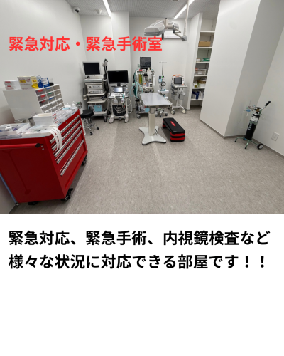 新規開院！獣医師募集！夜間救急専門！宇都宮夜間どうぶつ病院