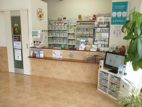 春日部市の動物病院で即戦力愛玩動物看護師を募集！