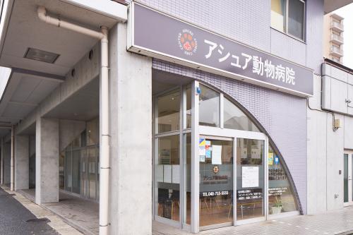 春日部市の動物病院で即戦力愛玩動物看護師を募集！