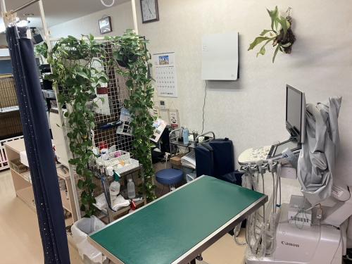 島根県益田市の一次病院で獣医師を募集