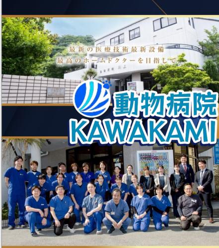 【獣医師】19時退社＆月給35万〜100万！
