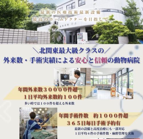 【獣医師】19時退社＆月給35万〜100万！