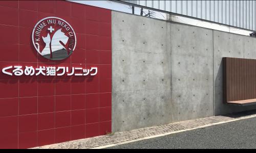 愛玩動物看護師