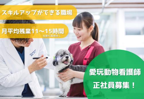 愛玩動物看護師募集