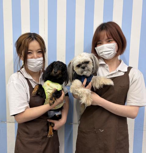 ☆スタッフ募集☆ペッツワン笛吹店でトリマー募集中