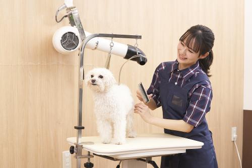 ペテモグルーミングサロン板橋店【正社員・パート】