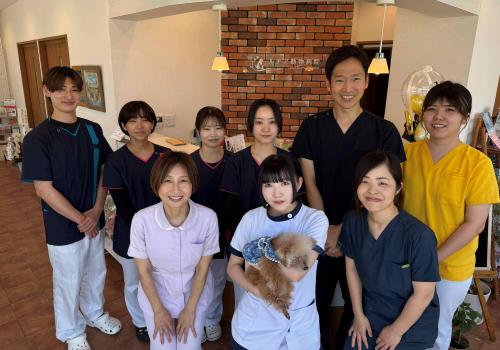 動物の眼を守るための仕事に携わってみませんか？
