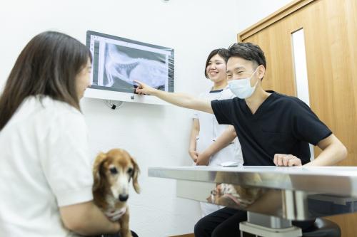 動物の眼を守るための仕事に携わってみませんか？