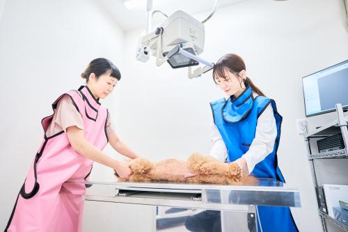動物看護師 【北千住駅すぐ】整形外科・腫瘍科の二次診療施設