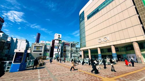 動物看護師 【北千住駅すぐ】整形外科・腫瘍科の二次診療施設