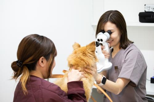 新卒　動物看護師募集！一緒により良い病院をつくりませんか