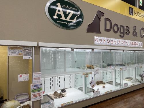 長坂町でトリマーさんを募集してます！
