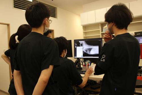 関東6拠点展開の安定基盤｜獣医師募集