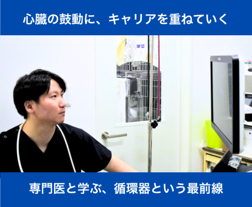 【獣医師】循環器＋エキゾ診療を学びたいあなたへ｜神楽坂