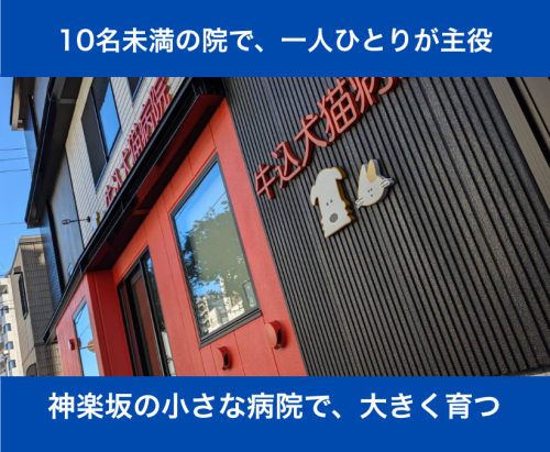 【獣医師】循環器＋エキゾ診療を学びたいあなたへ｜神楽坂