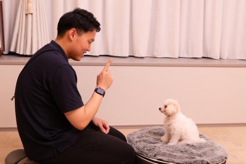 【パートタイム】往診専門獣医師