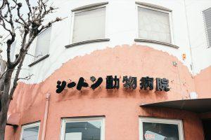 広島市　愛玩動物看護師パート急募！！