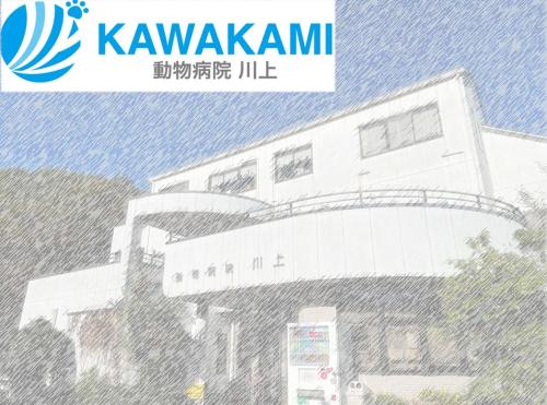 獣医師と対等なチーム！セミナー費全額補助など成長を全力応援 
