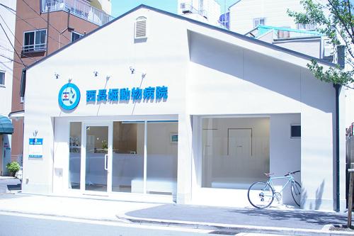 午前のみOK｜動物看護師・看護助手募集｜大阪市西区・西長堀