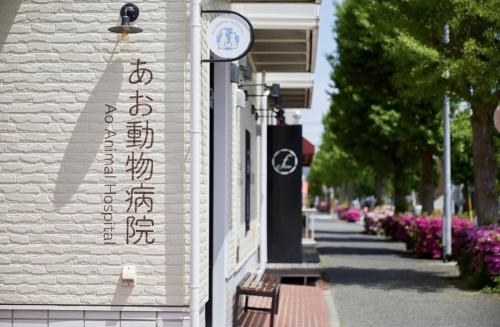 【オープニングスタッフ】看護師兼トリマー募集開始しました！