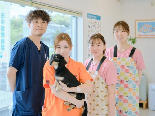 【神奈川県綾瀬市】田中動物病院　動物看護師募集中！
