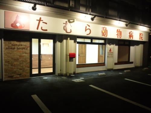 動物看護師募集（未経験可）