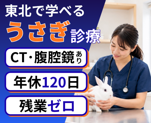 【山形市】獣医師　うさぎ手術・CT・腹腔鏡　年休120日以上