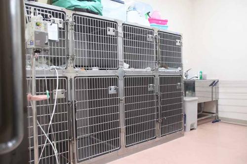 【獣医師募集】ペット家族動物病院 稲城押立店（企業病院）