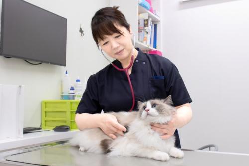 【獣医師募集】横浜北どうぶつ病院／獣医師をもっと自分らしく