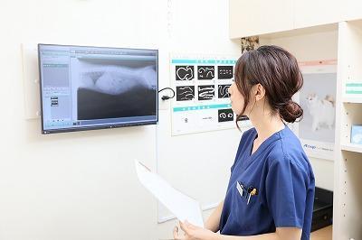 【獣医師募集】完全予約制の動物病院　西五反田勤務