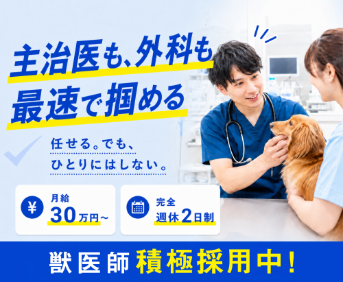 【横須賀】1年目から主治医・出番がほしい先生へ｜月30万～