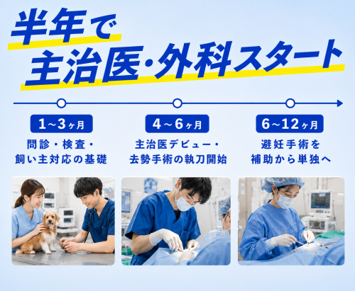 【横須賀】1年目から主治医・出番がほしい先生へ｜月30万～