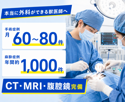 【横須賀】1年目から主治医・出番がほしい先生へ｜月30万～