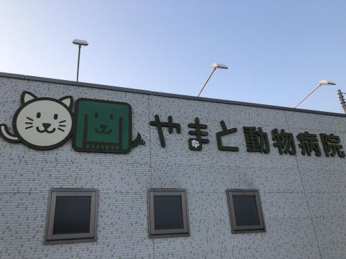 トリマー募集