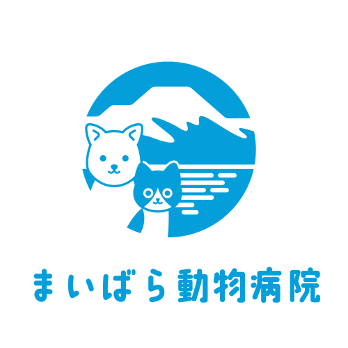 動物看護師さん募集！！