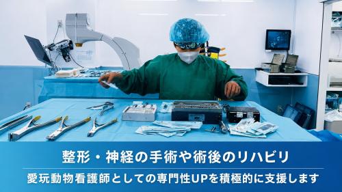 動物看護師／有資格者・経験者歓迎！整形未経験OK！