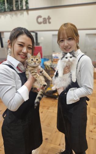 【ペットショップワンラブ】福岡管理センター　獣医師（正社員）