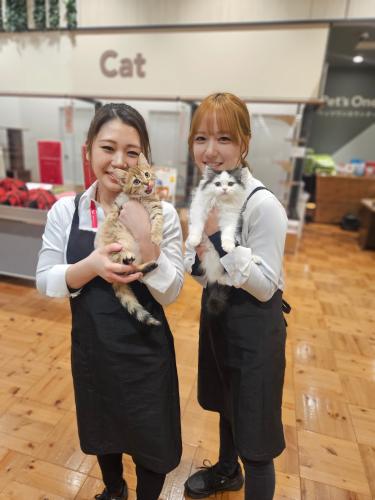 【ペットショップワンラブ】関東本店センター　獣医師（正社員）