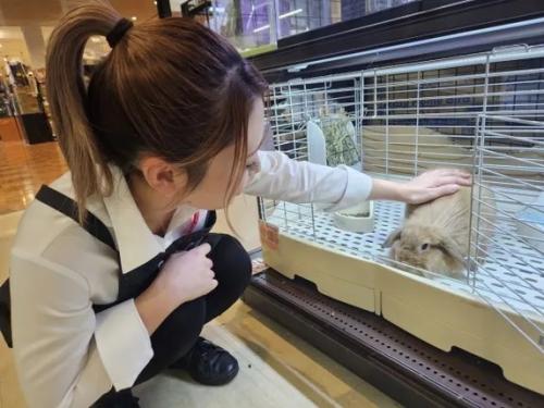 【ペットショップワンラブ】関東本店センター　獣医師（正社員）