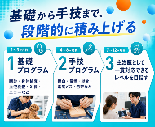 【獣医】1～2年目で転職歓迎｜手技は自分の手で｜教育制度充実