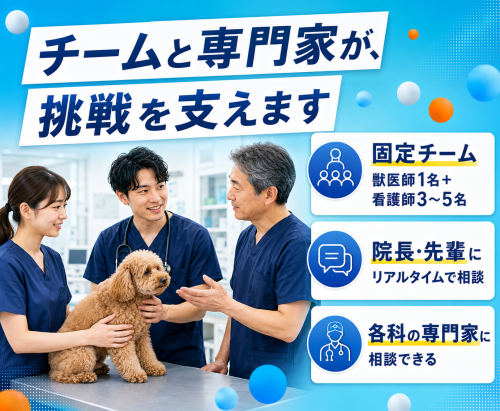 【獣医】1～2年目で転職歓迎｜手技は自分の手で｜教育制度充実