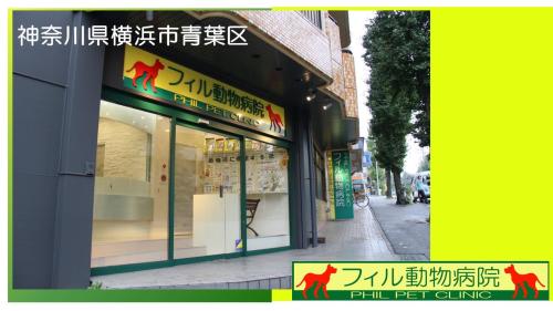 【横浜市】分院長候補／総合診療・専門治療の獣医師